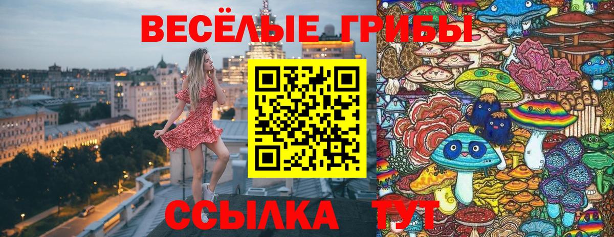 Псилоцибиновые грибы MAGIC MUSHROOMS Строитель