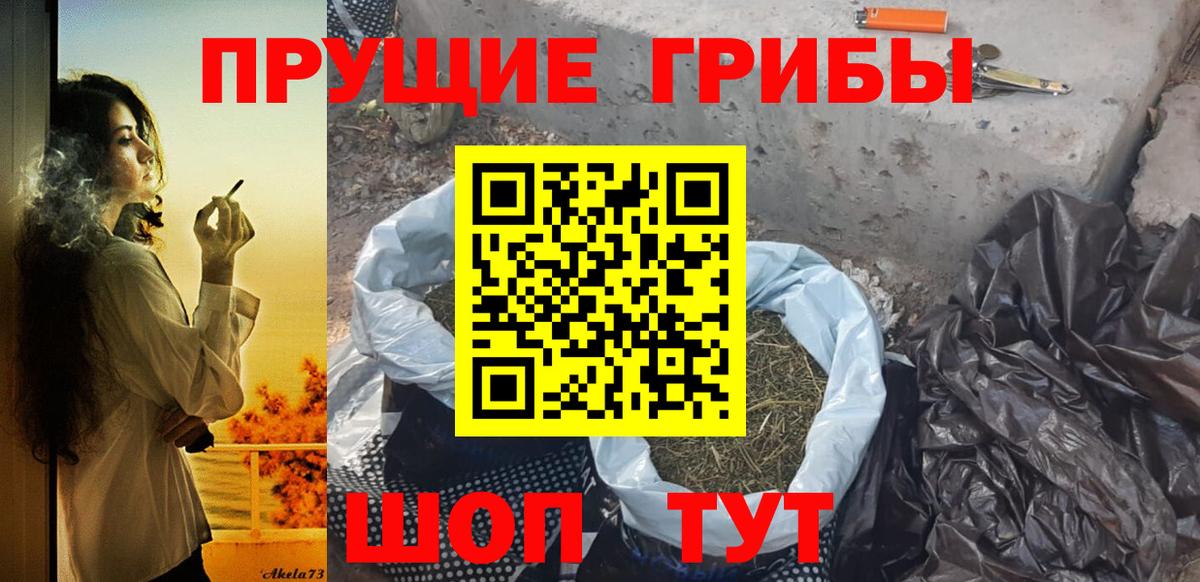 Псилоцибиновые грибы мицелий  Вход с VPN  Псилоцибиновые грибы ЛСД  Строитель 